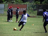 Com as presenças de Souza e Adriano, Bahia treina com bola