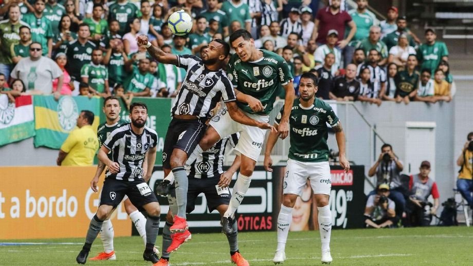 Quantas vezes o Palmeiras perdeu para o Botafogo