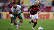 Reprodução / Redes Sociais