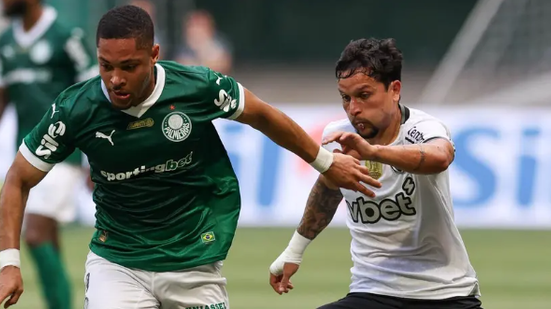 Divulgação/Palmeiras
