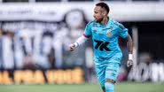 Divulgação/Santos