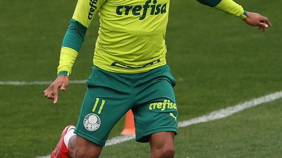 Cesar Greco / Palmeiras