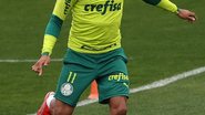 Cesar Greco / Palmeiras
