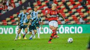 Divulgação / Flamengo
