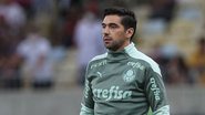 Cesar Greco / Palmeiras