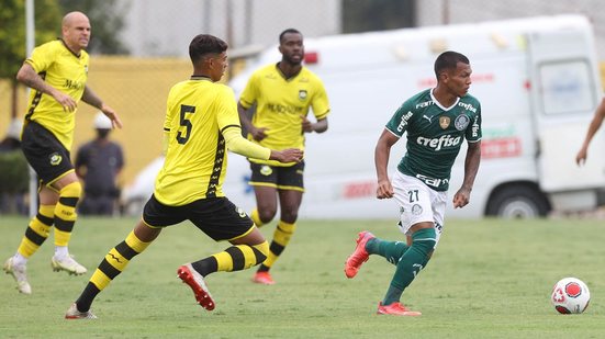 Cesar Greco / Palmeiras