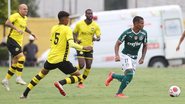 Cesar Greco / Palmeiras