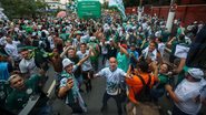 Fábio Menotti / Palmeiras