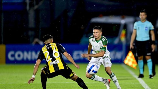 Mourão Panda / América
