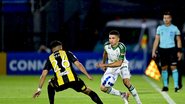 Mourão Panda / América