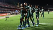 Cesar Greco / Palmeiras