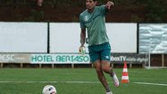 Divulgação / Chapecoense