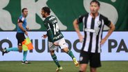 Cesar Greco / Palmeiras