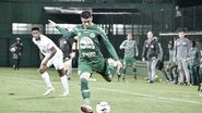Divulgação / Chapecoense