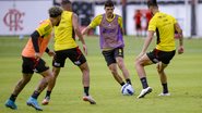 Marcelo Cortes/Flamengo