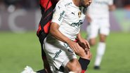 Divulgação / Palmeiras