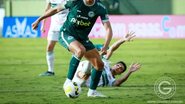 Divulgação / Goiás