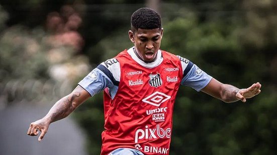 Raul Baretta/ Santos FC