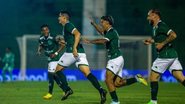 Thomaz Marostegan/ Guarani FC