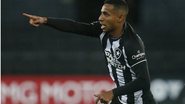 Vitor Silva / Botafogo