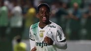 Cesar Greco/Palmeiras