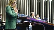 Waldemir Barreto/Agência Senado