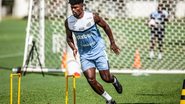 Bruno Santoni / Santos FC