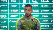 Divulgação 
