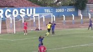 Reprodução
