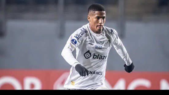 Raul Baretta/ Santos FC