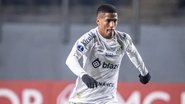 Raul Baretta/ Santos FC