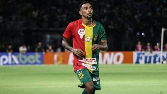 Divulgação 