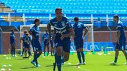 André Palma Ribeiro/Avaí F. C.
