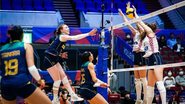Divulgação/Volleyball World