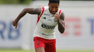 Gilvan de Souza/Flamengo
