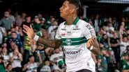 Guilherme Griebeler / Coritiba