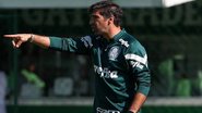 Cesar Greco / Palmeiras