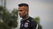 Felipe Szpak / Ag.Corinthians