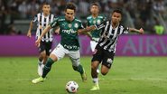 Cesar Greco / Palmeiras