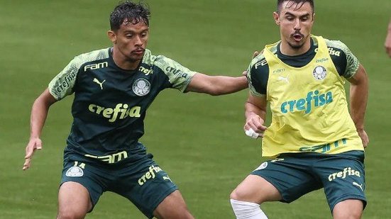 Cesar Greco / Palmeiras