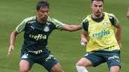 Cesar Greco / Palmeiras