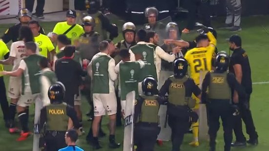 Divulgação