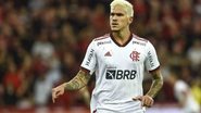 Divulgação/Flamengo