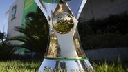 Divulgação CBF 