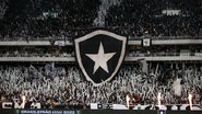 Vitor Silva/Botafogo