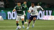 Cesar Greco / Palmeiras