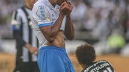 Celo Gil / @celogilfotografia  e Vitor Silva/ Botafogo