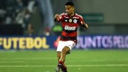Marcelo Cortes/Flamengo