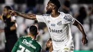 Raul Baretta / Santos FC