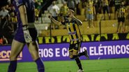 Gustavo Ribeiro / Novorizontino 